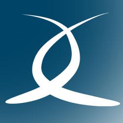 Wolthers Advies logo